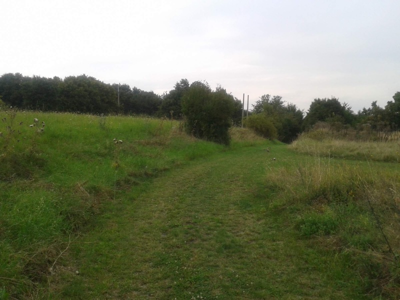 foto2.jpg