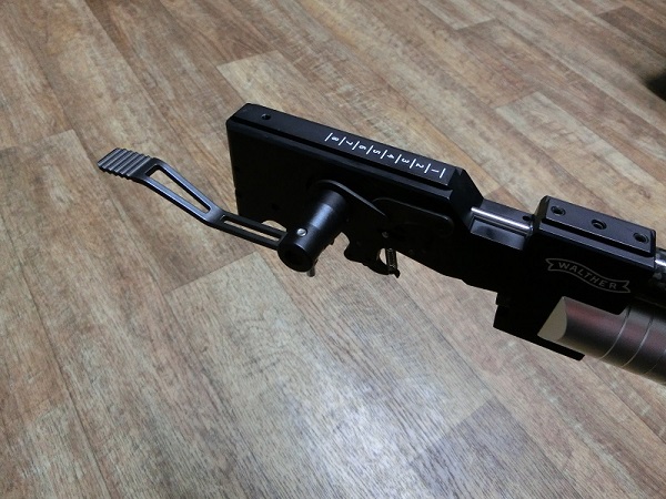 CIMG2871_1.jpg