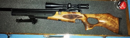 wolverine c 22.jpg