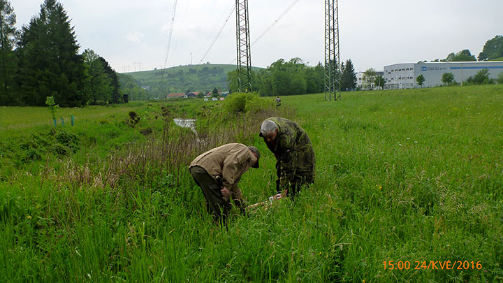 P1100163.jpg