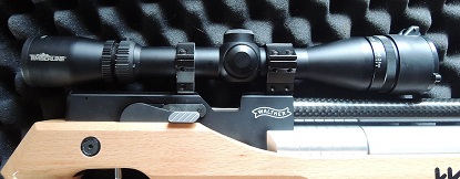 Walther 1xx.JPG